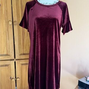 Worthington Deep Red Velvet Garment
